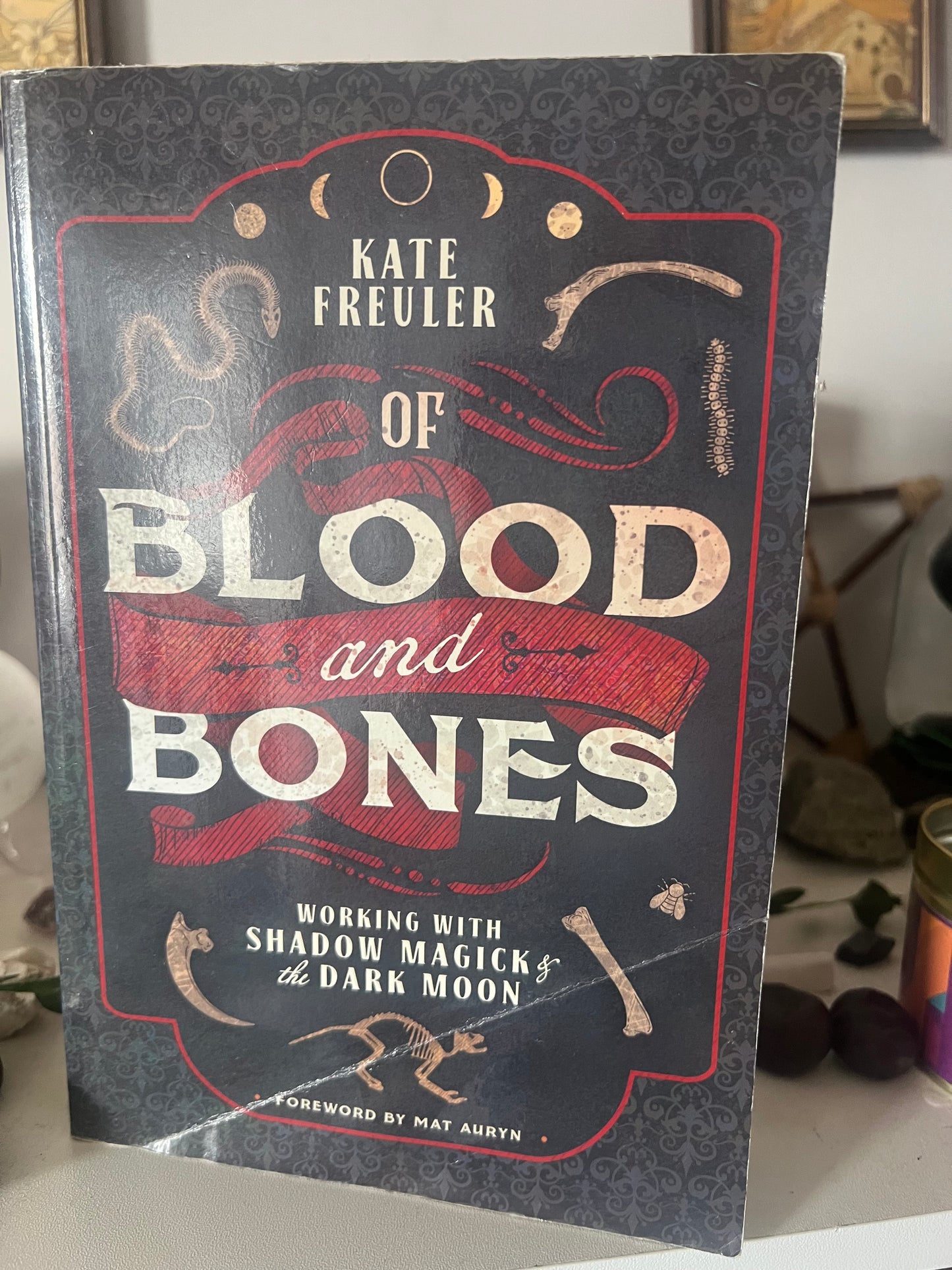 Blood and Bones Bt Kate Freuler