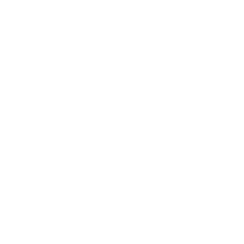 The Witch Therapy Store